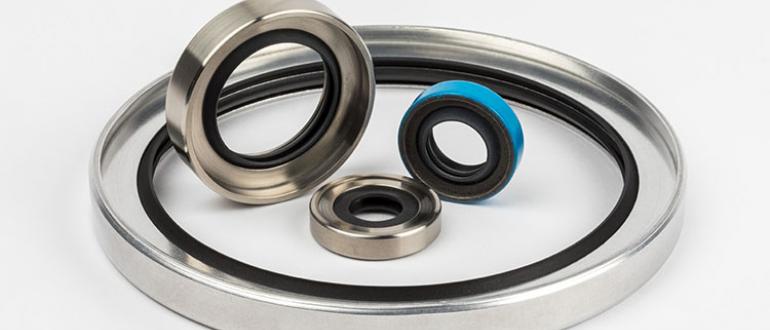 70 Rotary Lip Seals.jpg