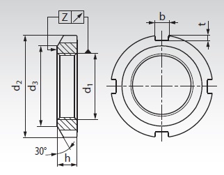 Locknuts-dig.jpg